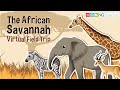The African Savannah – Virtual Field Trip