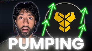 $PNG PANGOLIN IS PUMPING HARD! MULTI CHAIN DEX YOU NEED TO HOLD