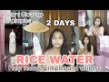 Rice Water Help Reduce Oiliness and pimples ( Instant Glow up ) Philippines