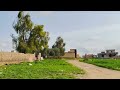 شنكال قرية همدان الجميلة جدا 