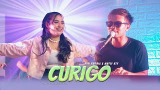 Dini Kurnia Ft. Mufly Key - CURIGO