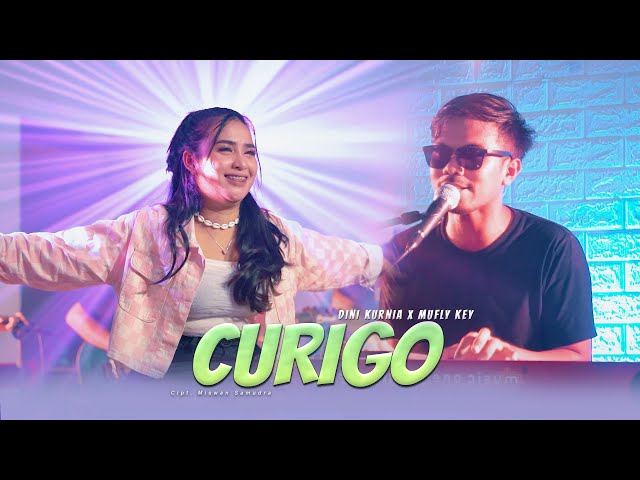 Dini Kurnia Ft. Mufly Key - CURIGO (Official Music Video) class=