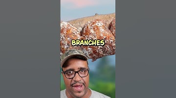 Insectenafscheidingen in je snoep.