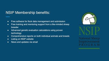 NSIP Explained