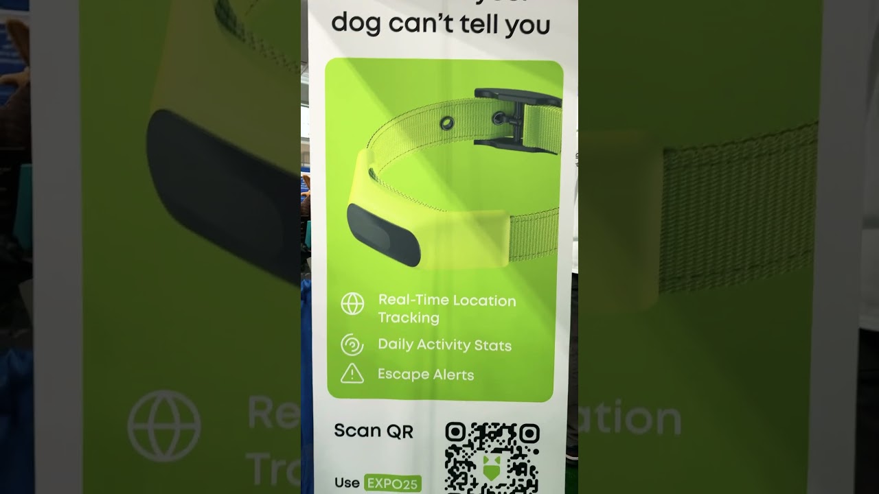 Averia - smart dog collar and etc.