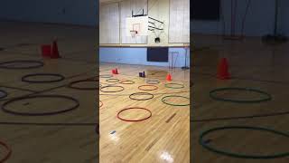 HULA HOOP FROGGER