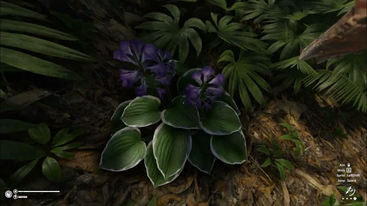 Green Hell Beginner Guide Part 3 YouTube