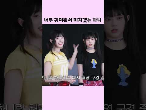 너무 귀여워서 미치겠는 하니