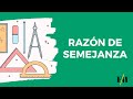 Razón de semejanza