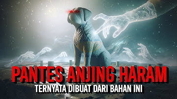 Begini Cara Allah Menciptakan Anjing, Ternyata Ini Sebabnya Anjing Najis dan Haram