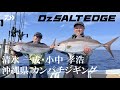 【Dz SALT EDGE】清水 一成・小中 孝浩×沖縄カンパチジギング 特別編集編