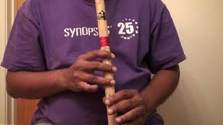 Video thumbnail of "Yeh Moh Moh Ke Dhage on flute - Hindi song on flute - Travails with my flute"