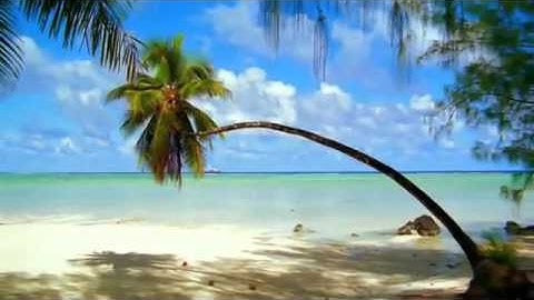 القارئ عبد المجيد الجزائري Iسورة النجم I HD