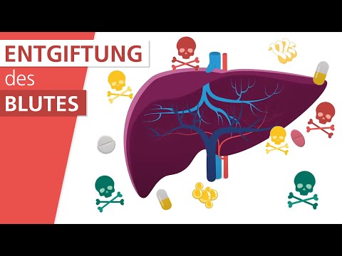 Video: Werden von der Leber synthetisiert, um Fett zu transportieren?