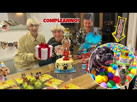 Video: The Party - Come lanciare il miglior compleanno di cagnolini di sempre