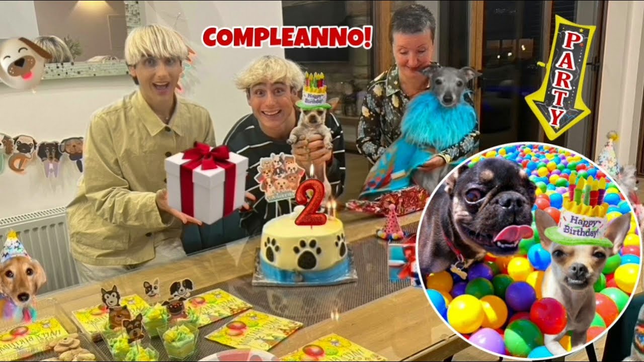 FACCIAMO UNA FESTA DI COMPLEANNO A SORPRESA AL NOSTRO CAGNOLINO!!! 🥺🎂 *compie 2 anni*