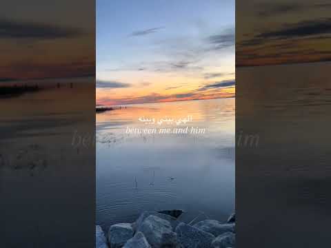 أجمل من غناها قالت حبيبي وسام شرف وزينة عماد ايمن قصيلة