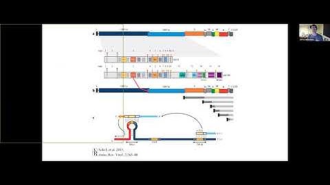 Galaxy Covid19 Project, Galaxy Developer Roundtable, 2020/07/09