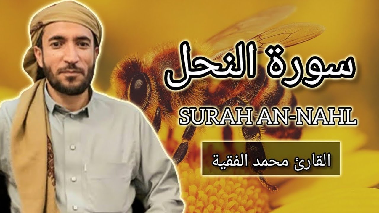 سورة النحل كاملة للقارئ الشيخ محمد الفقيه Surah An-Nahl Mohammed Al Fakih
