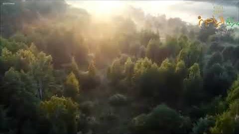 عبد الرحمن الزهراني (سورة الانفطار)