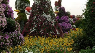 The Dubai Miracle Garden: A Floral Wonderland