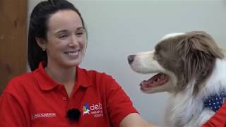 Occupational Therapist Kerryn with Wally the Therapy Dog