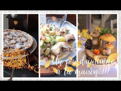 vlog-famille-du-22-septembre-:-un-petit-air-automnale,-cailles-aux-raisins-et-tarte-amandes-raisins