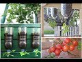 COMO PLANTAR TOMATE INVERTIDO E O RESULTADO