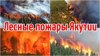 Лесные пожары в Якутии сегодня! Вся правда о лесных пожарах Якутска | Катаклизмы, климат, боль земли