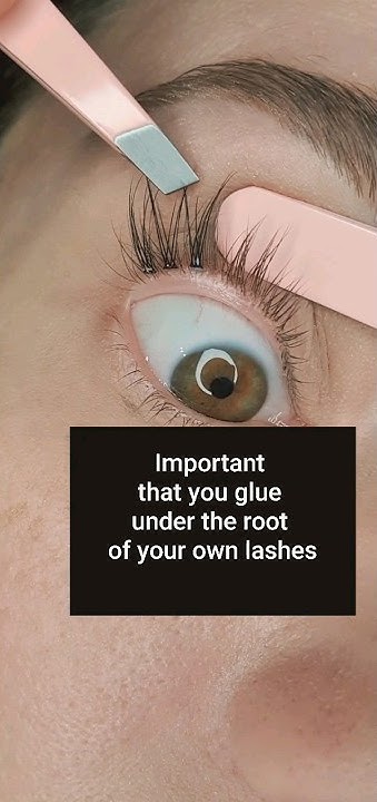 How To Apply Individual Lashes On Yourself How to apply individual lashes by yourself. Step-by-step tutorial #