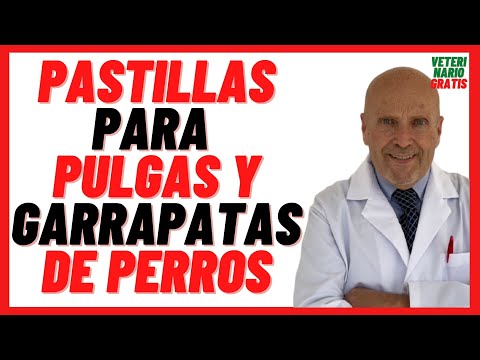Video: Prevención de las Infestaciones dari Pulga y Garrapata