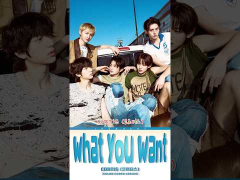 𝑾𝒉𝒂𝒕 𝒚𝒐𝒖 𝒘𝒂𝒏𝒕 𝑪𝒐𝒓𝒕𝒊𝒔 Songlyrics Cortis Whatyouwant
