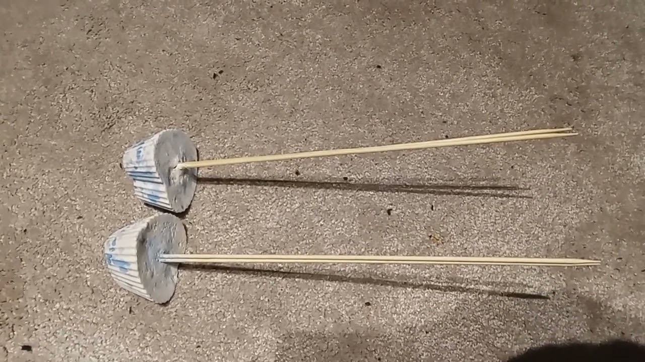 Kreative Gipsstecklinge für den Garten/ angefertigt von Künstler Philipp Zeiske 😊❤️🌱