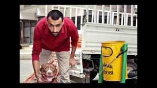 Silent Fatal & Moreva - Doldurdum Yaşımı (Yle)