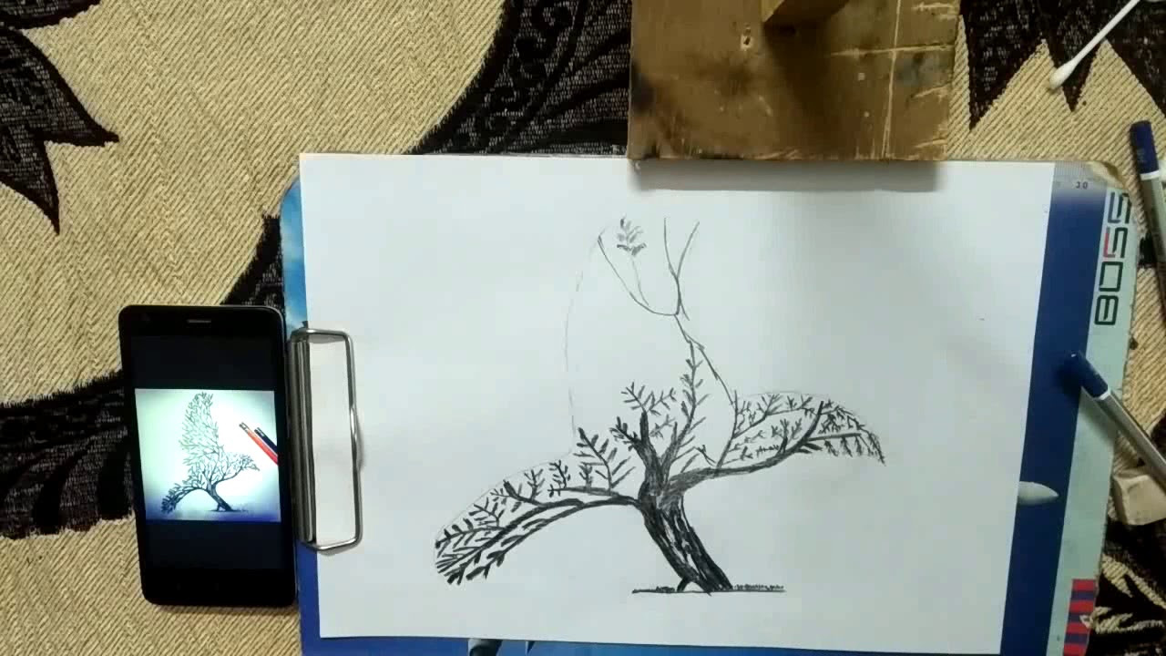 Drawing of bird or tree - YouTube