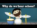 Why do we hear echoes  aumsum kids science education children