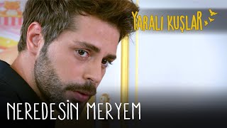 Neredesin Meryem? Yaralı Kuşlar 91 Bölüm English And Spanish