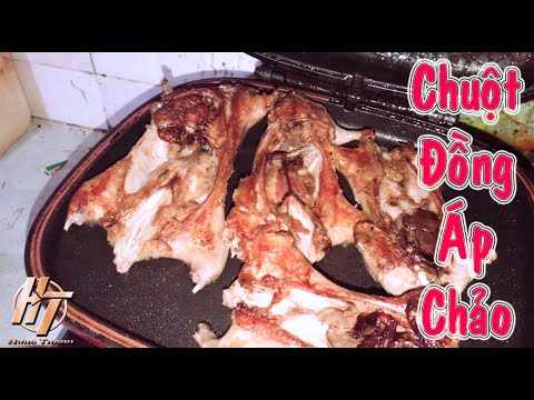 Video Chuột đồng áp chảo - Chuột rán không cần mỡ|Hưng Thành. - youtube
