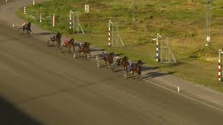 Vidéo de la course PMU PRIX MARDSKOG OCH LINDQVIST