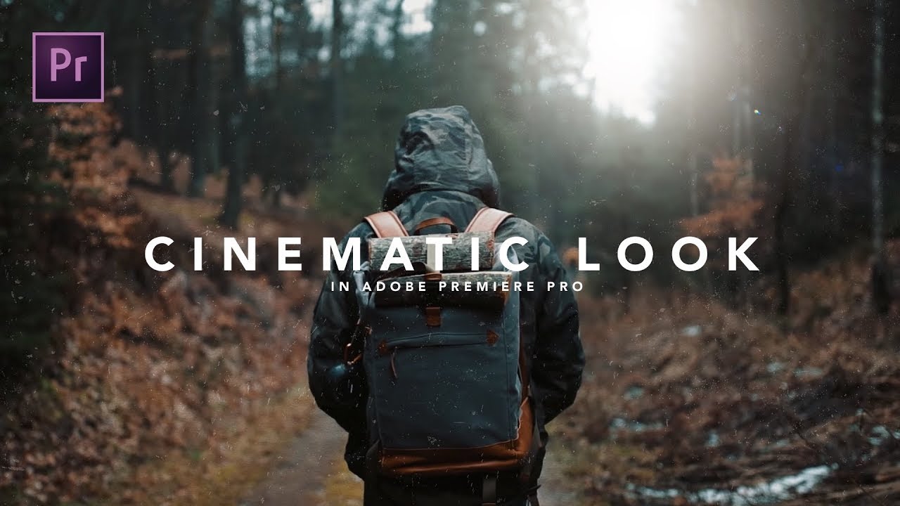 How to get the CINEMATIC LOOK in Premiere Pro Tutorial