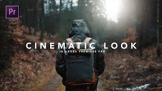 How to get the CINEMATIC LOOK in Premiere Pro Tutorial screenshot 5