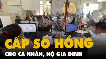 TP.HCM: Chuyển 11 thủ tục cấp sổ hồng cho cá nhân, hộ gia đình về quận, huyện và TP Thủ Đức