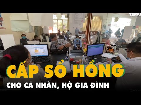 Video TP.HCM: Chuyển 11 thủ tục cấp sổ hồng cho cá nhân, hộ... - youtube