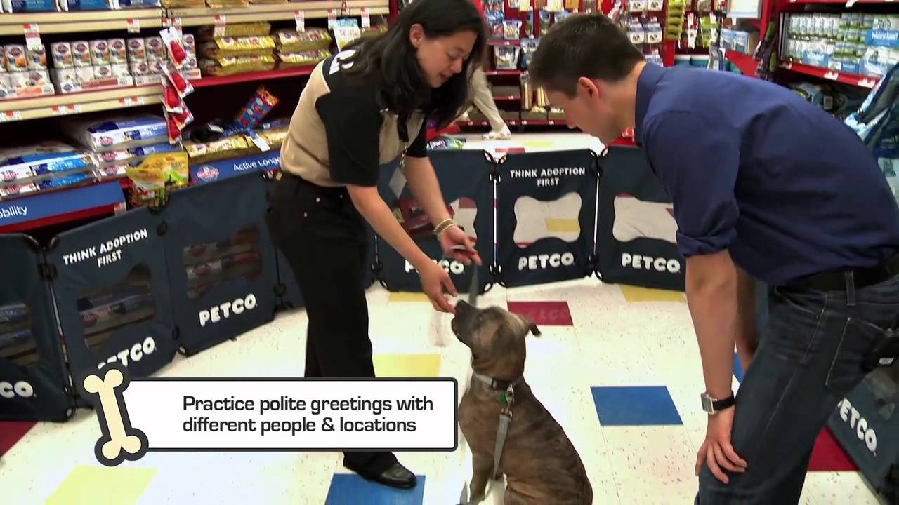 petco training classes