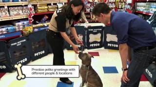 Petco Training Tips: Kickin' The Jumpin' Habit