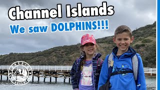 Dolphins and a Sea Cave in Channel Islands National Park
