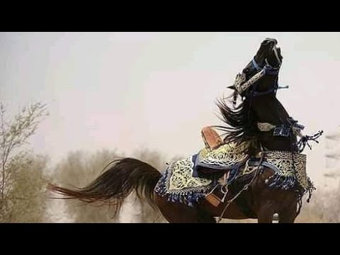 قصيد لا تعتذر مال الهجر منك تبرير شعر بدوي قصائد عتاب حزن فراق حالات واتس اب