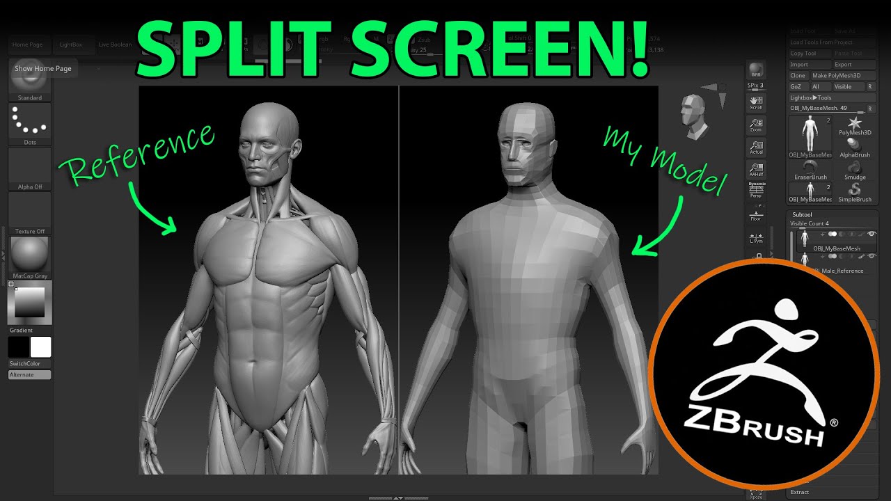 split back from front zbrush