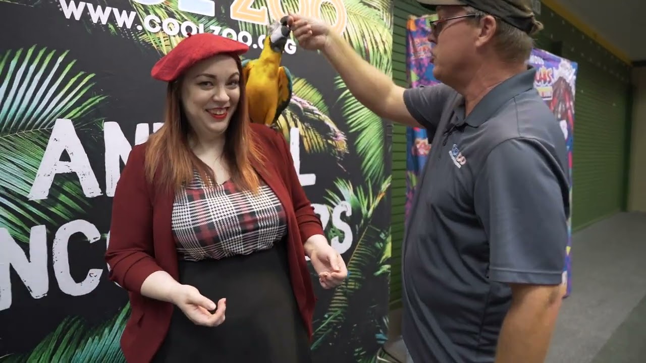 Cool Zoo Interactive Animal Experience