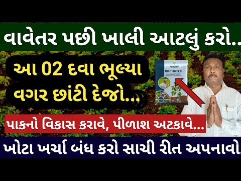 વાવેતર પછી આ 02 દવા ભૂલ્યા વગર છાંટી દેજો | પાકનો વિકાસ કરાવે | પીળાશ અટકાવે | ચોમાસુ મગફળી | khedut